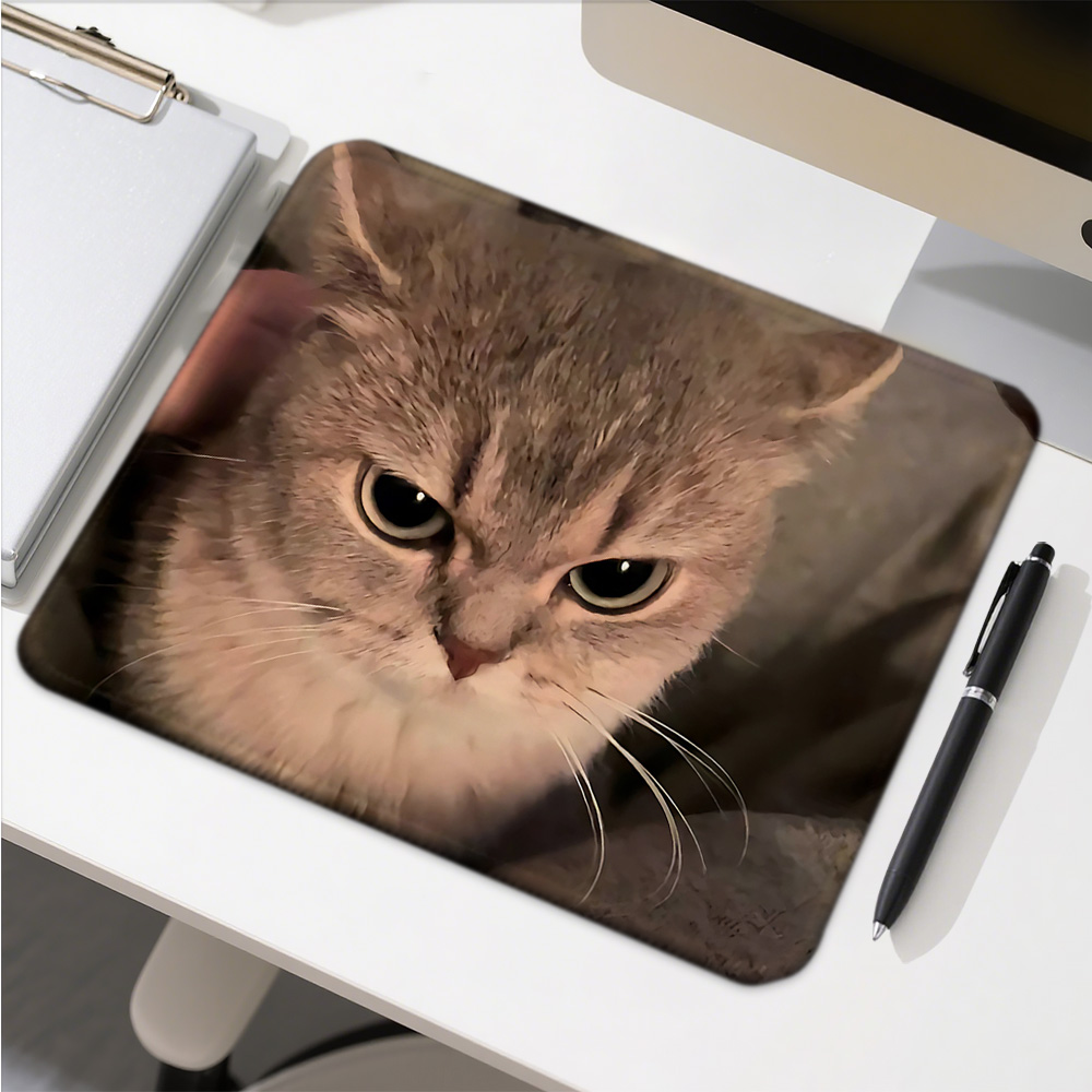 Funny Cat Expressions Computer - Gaming Accessories Companies incelemesi ve fiyatı