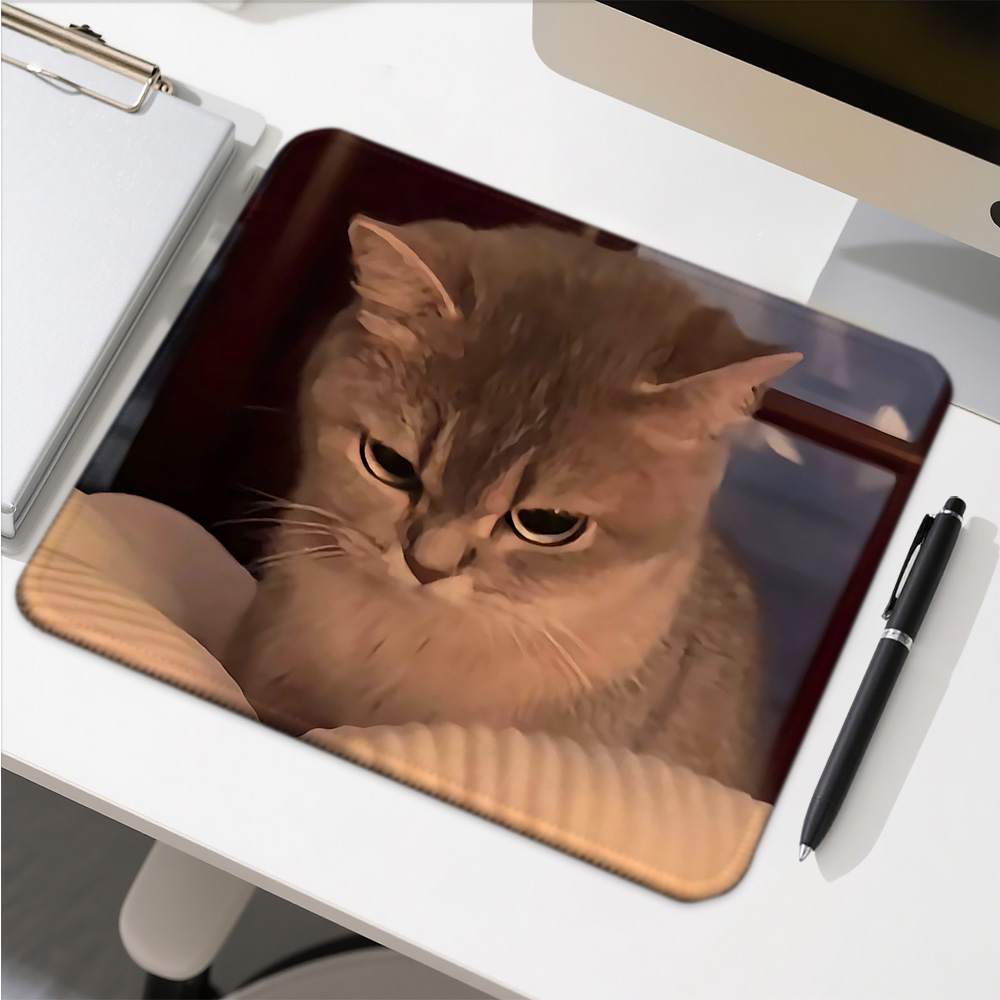 Funny Cat Expressions Computer - Gaming Accessories Companies incelemesi ve fiyatı